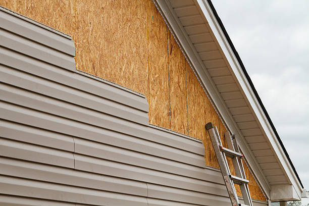 Professional Siding Repair technician working in Lodi, OH